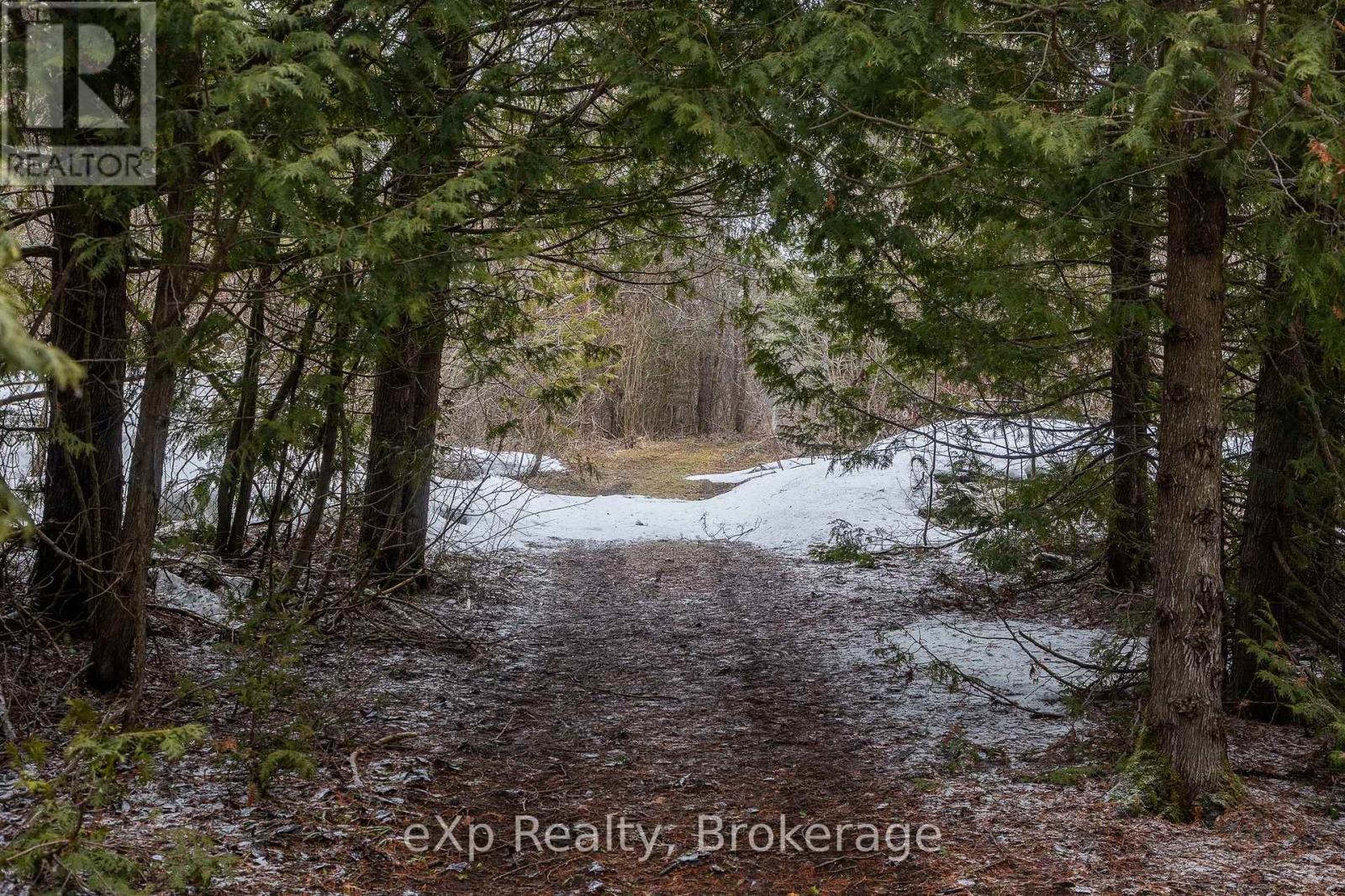 736073 West Back Line, Chatsworth, Ontario  N0C 1H0 - Photo 12 - X12976090