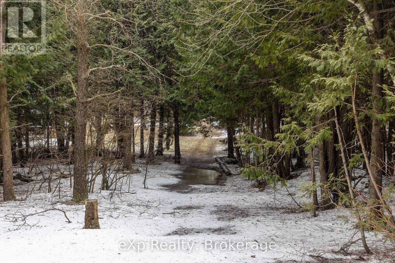 736073 West Back Line, Chatsworth, Ontario  N0C 1H0 - Photo 13 - X12976090