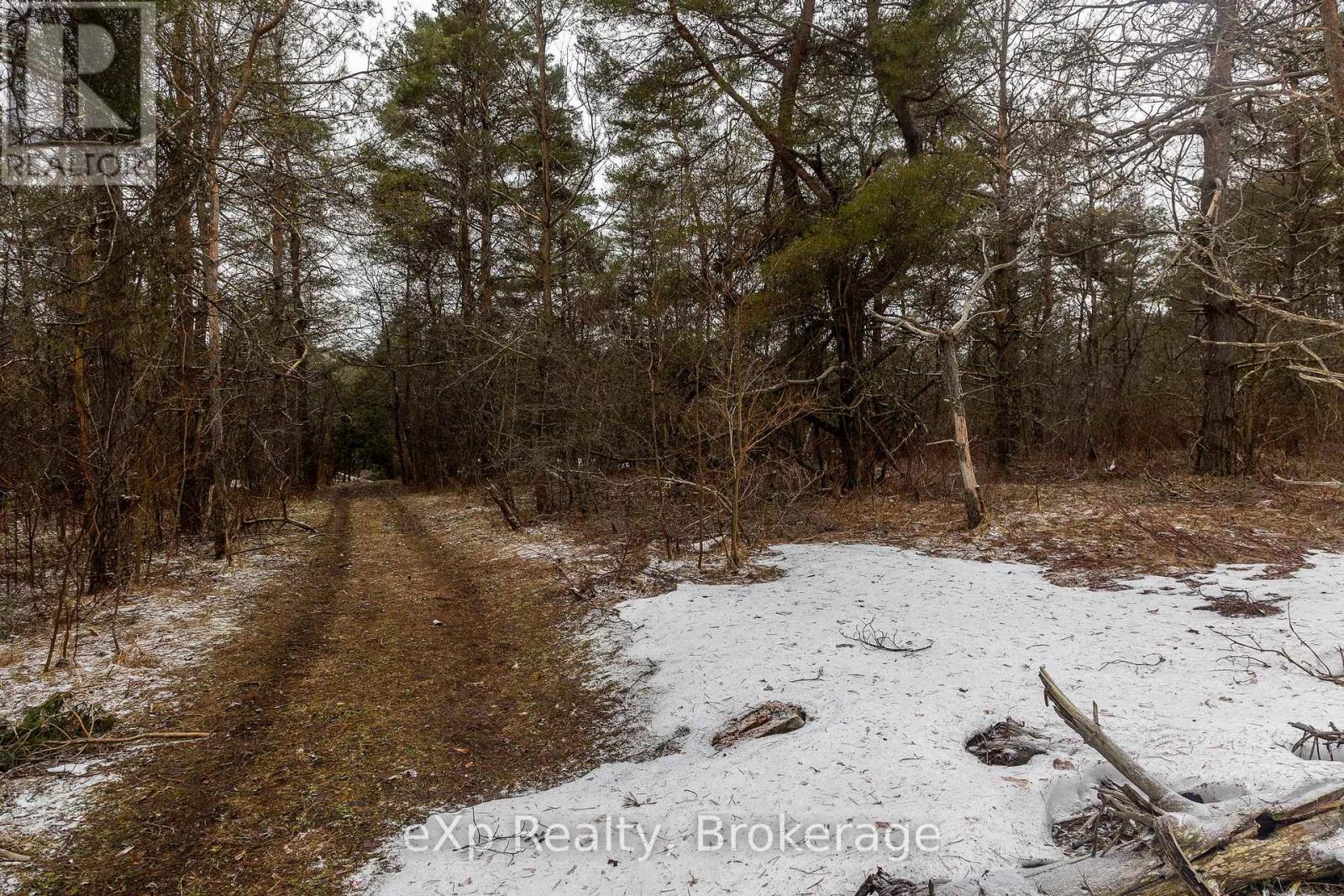 736073 West Back Line, Chatsworth, Ontario  N0C 1H0 - Photo 15 - X12976090