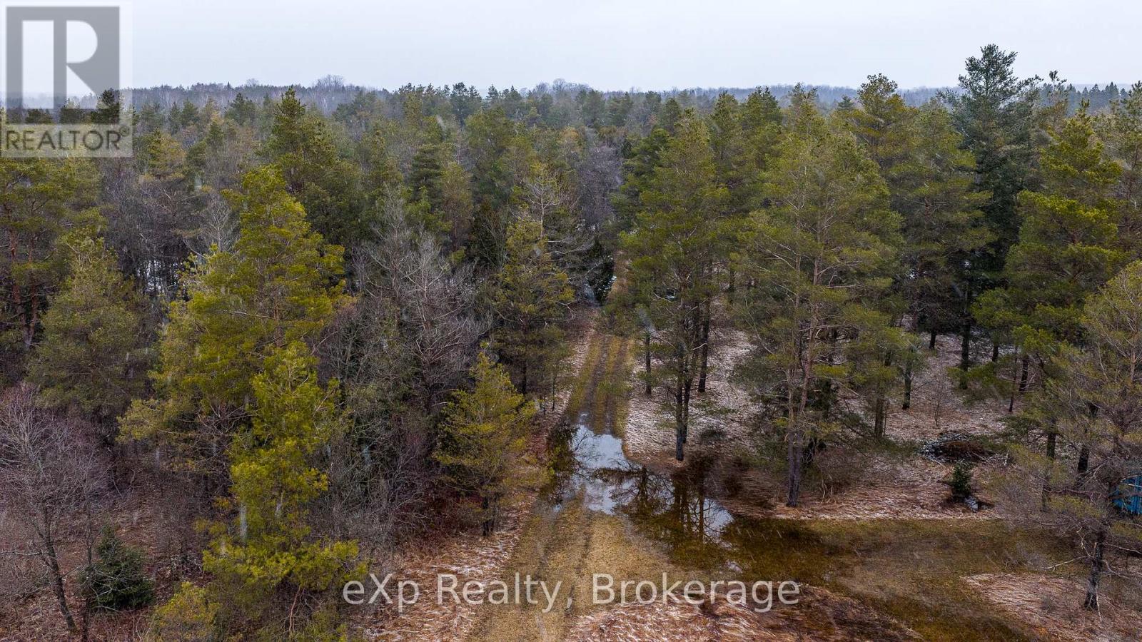 736073 West Back Line, Chatsworth, Ontario  N0C 1H0 - Photo 18 - X12976090