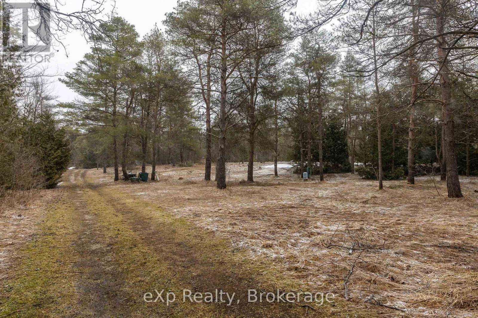 736073 West Back Line, Chatsworth, Ontario  N0C 1H0 - Photo 21 - X12976090