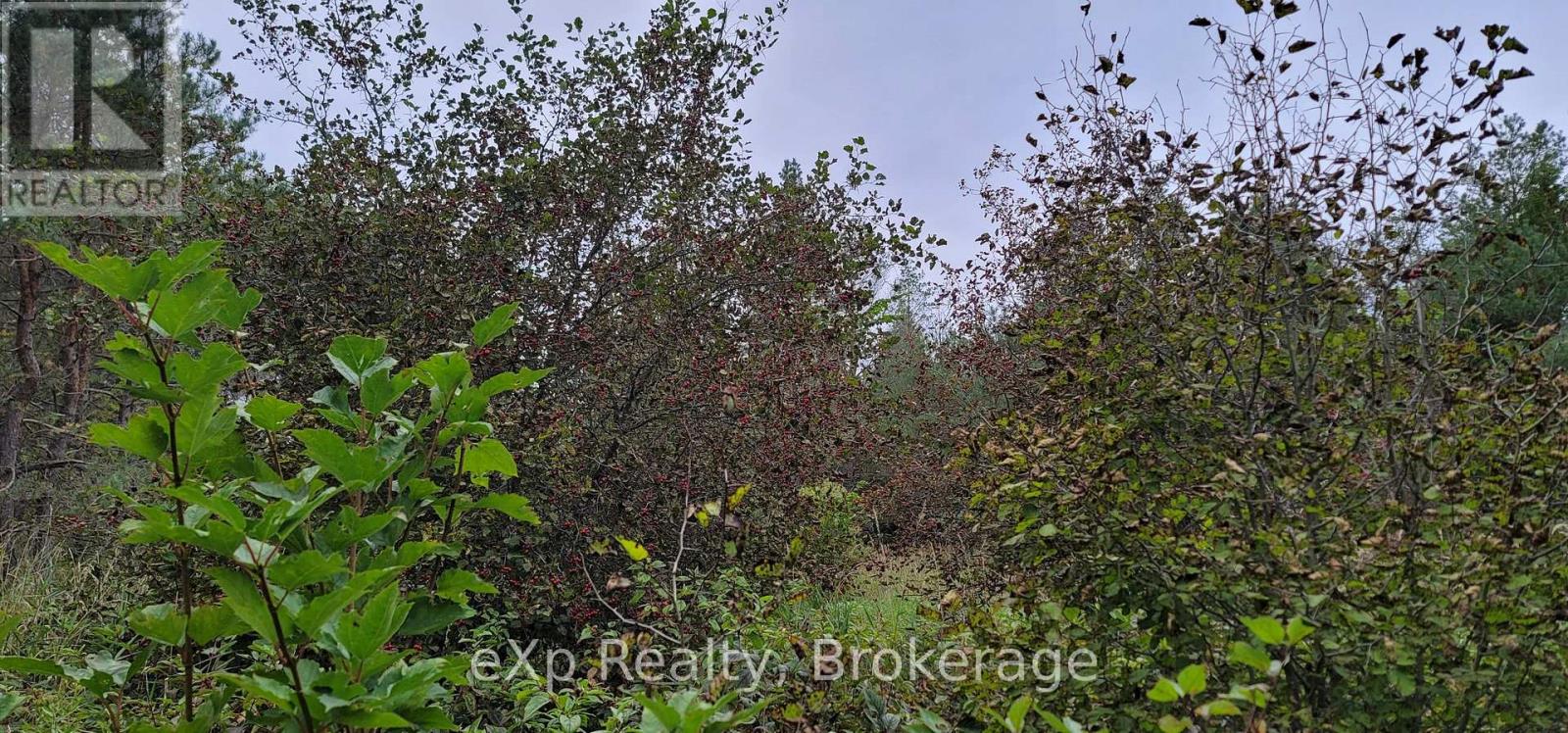 736073 West Back Line, Chatsworth, Ontario  N0C 1H0 - Photo 23 - X12976090