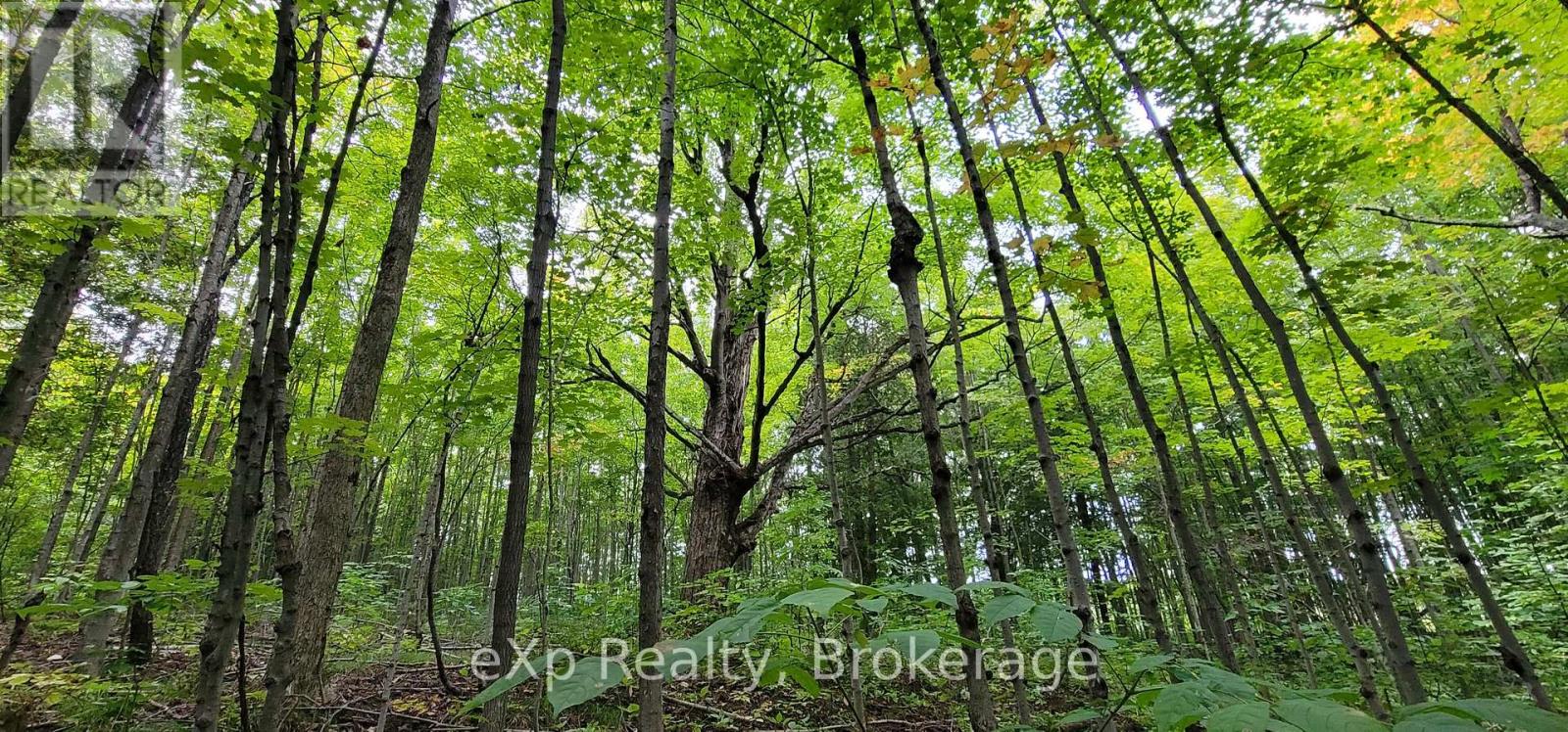 736073 West Back Line, Chatsworth, Ontario  N0C 1H0 - Photo 24 - X12976090