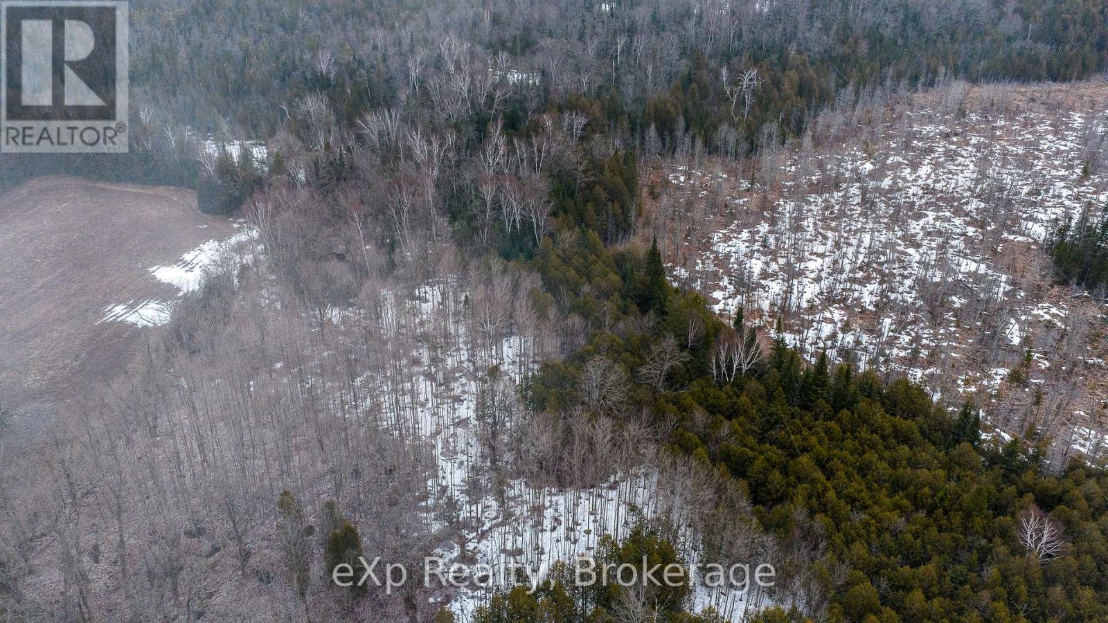 736073 West Back Line, Chatsworth, Ontario  N0C 1H0 - Photo 5 - X12976090