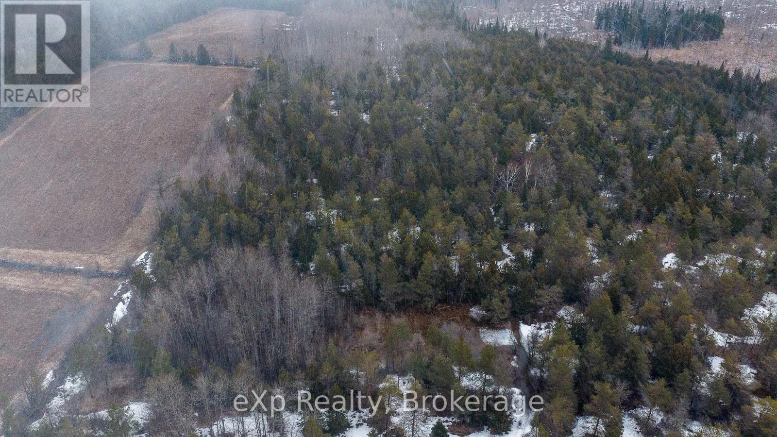 736073 West Back Line, Chatsworth, Ontario  N0C 1H0 - Photo 6 - X12976090