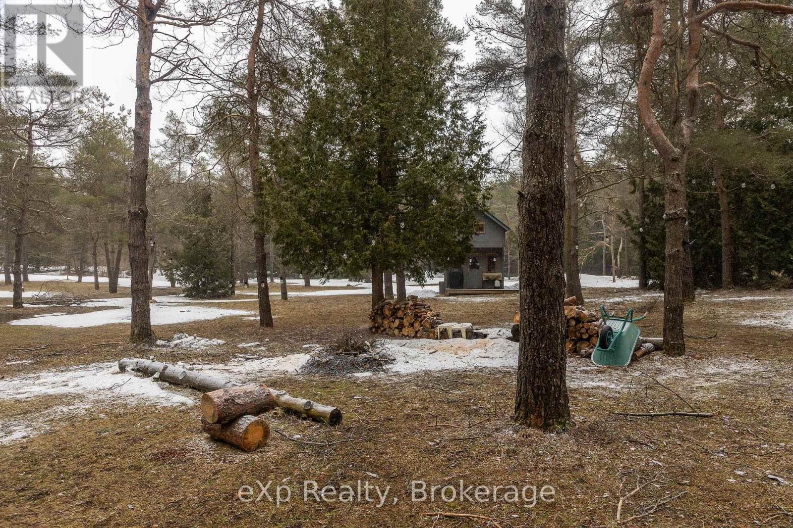 736073 West Back Line, Chatsworth, Ontario  N0C 1H0 - Photo 9 - X12976090