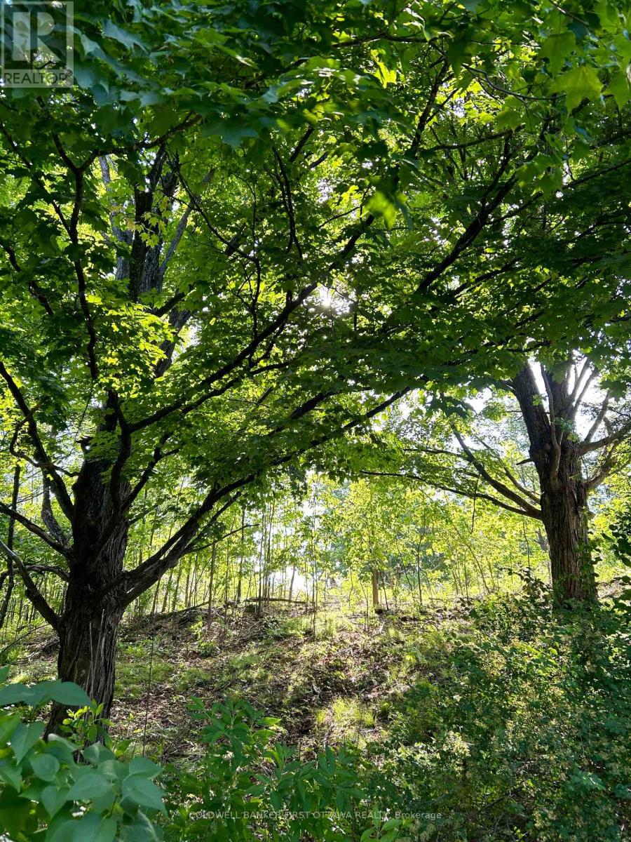 2511 Concession 10c, Lanark Highlands, Ontario  K0A 1P0 - Photo 45 - X12976114