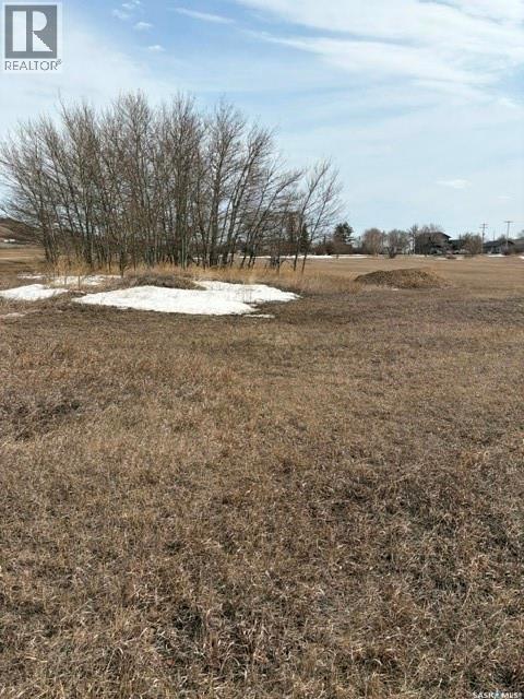 - St Patrick Street, Lebret, Saskatchewan  S0G 2Y0 - Photo 7 - SK032431