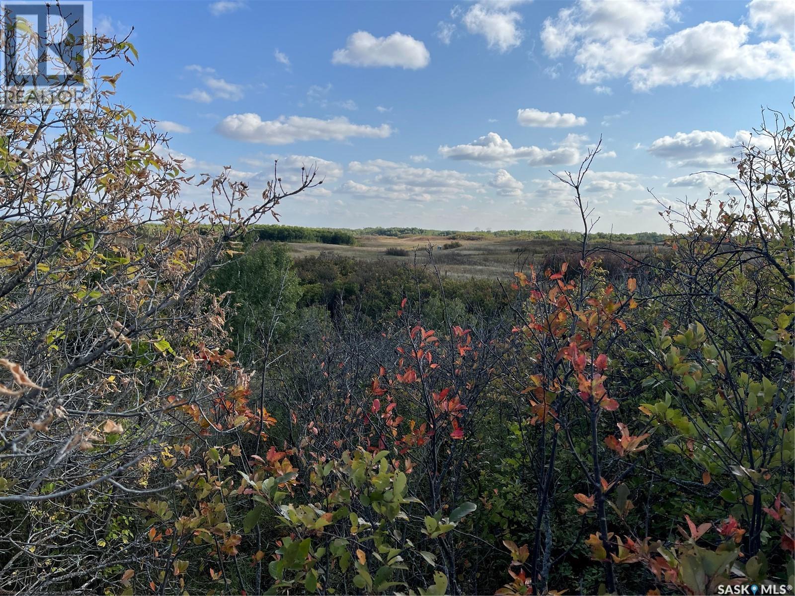 Pike Lake Area 40 Acre Build Site, Pike Lake Provincial Park, Saskatchewan  S7K 1N2 - Photo 13 - SK032229