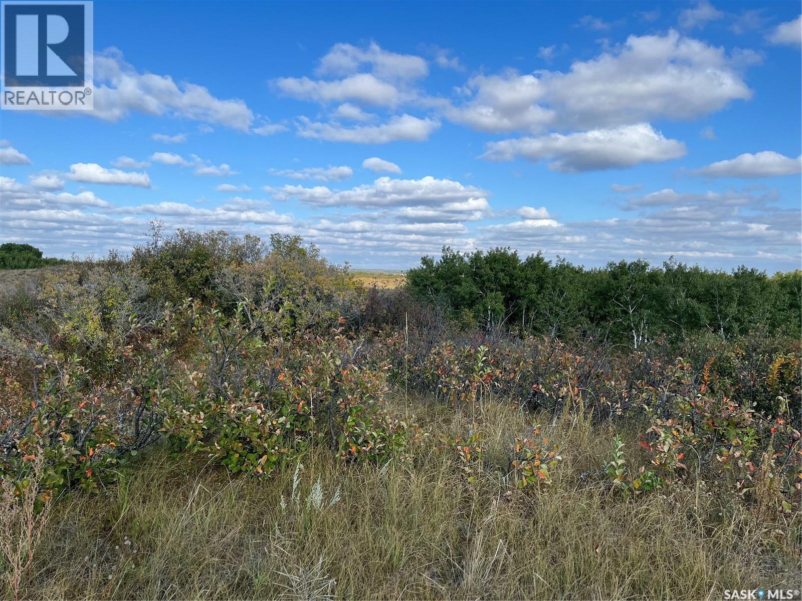 Pike Lake Area 40 Acre Build Site, Pike Lake Provincial Park, Saskatchewan  S7K 1N2 - Photo 4 - SK032229