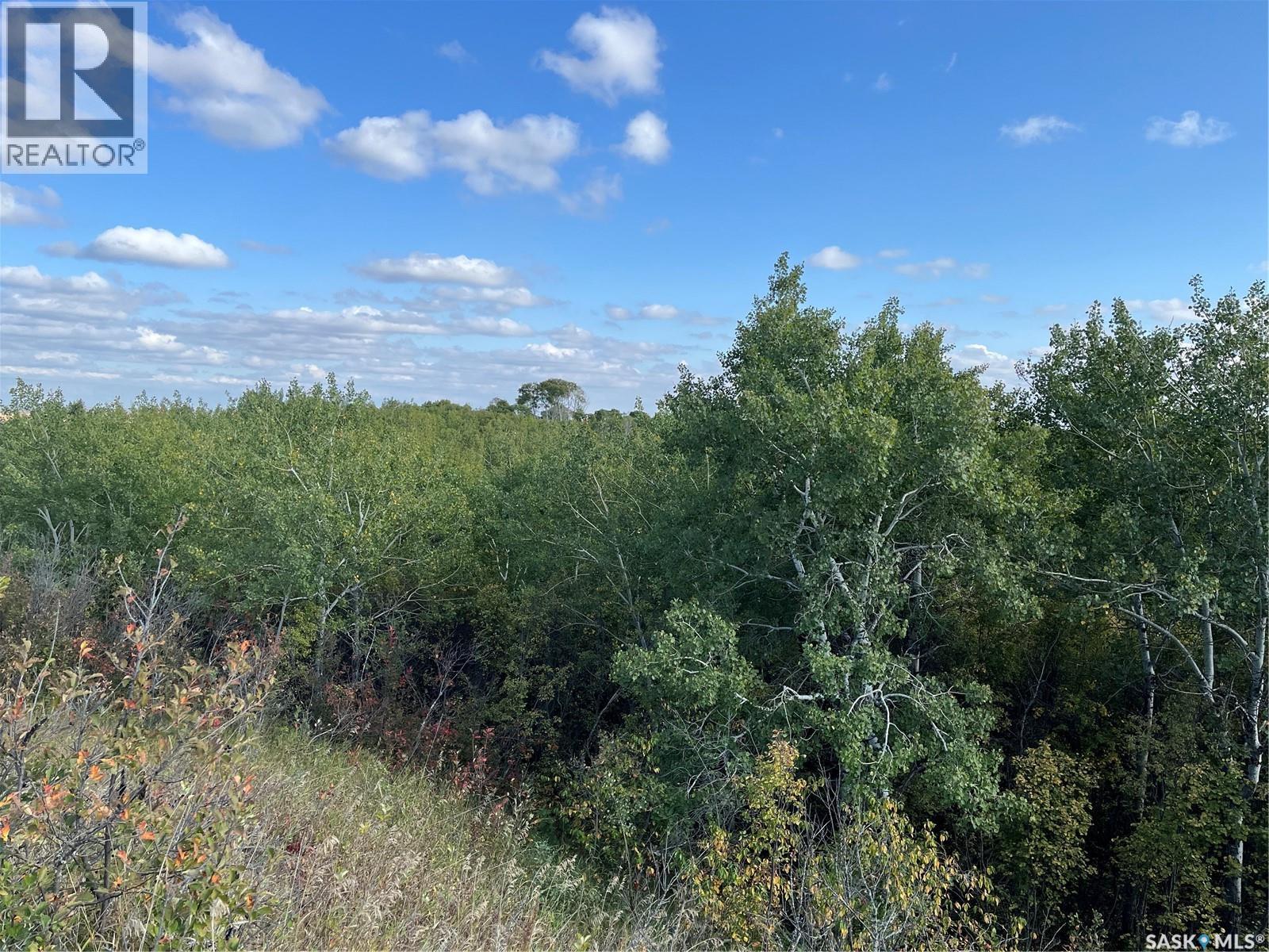 Pike Lake Area 40 Acre Build Site, Pike Lake Provincial Park, Saskatchewan  S7K 1N2 - Photo 6 - SK032229