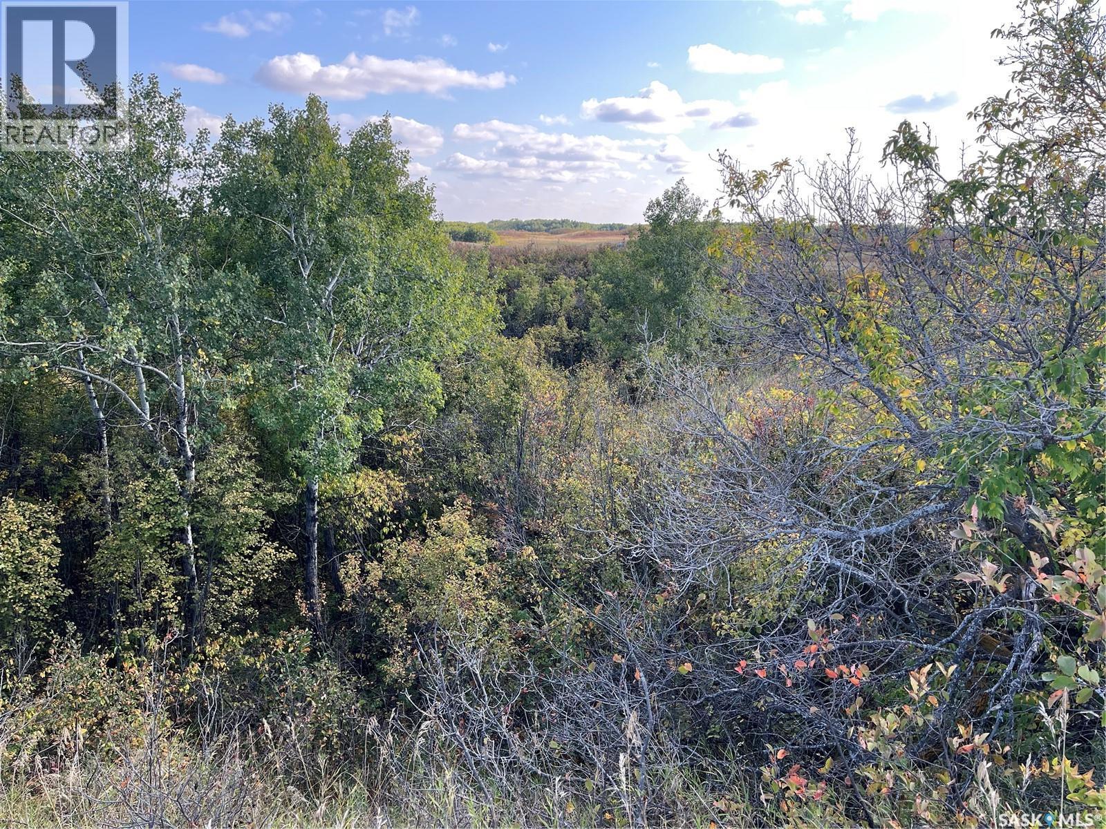 Pike Lake Area 40 Acre Build Site, Pike Lake Provincial Park, Saskatchewan  S7K 1N2 - Photo 7 - SK032229