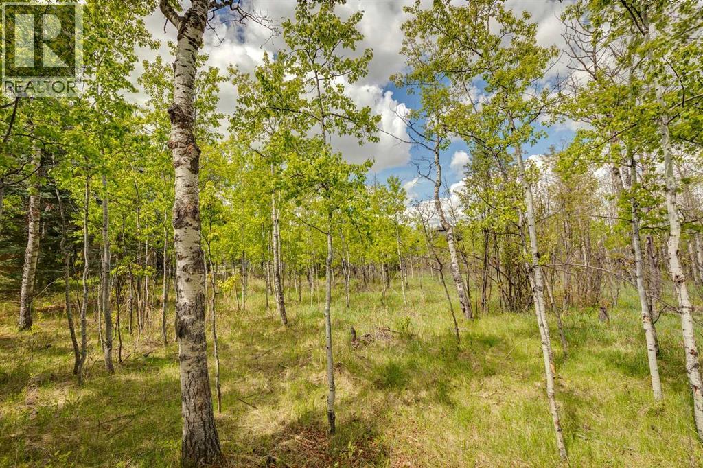 25 Posthill Drive SW, Calgary, Alberta  T3H 0A8 - Photo 10 - A2281353