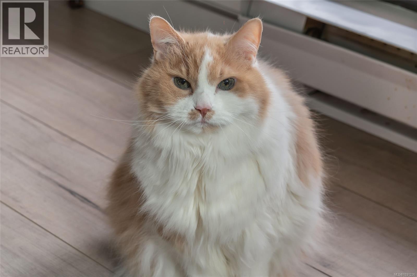 201 309 Morison Ave, Parksville, British Columbia  V9P 1M6 - Photo 33 - 1031226