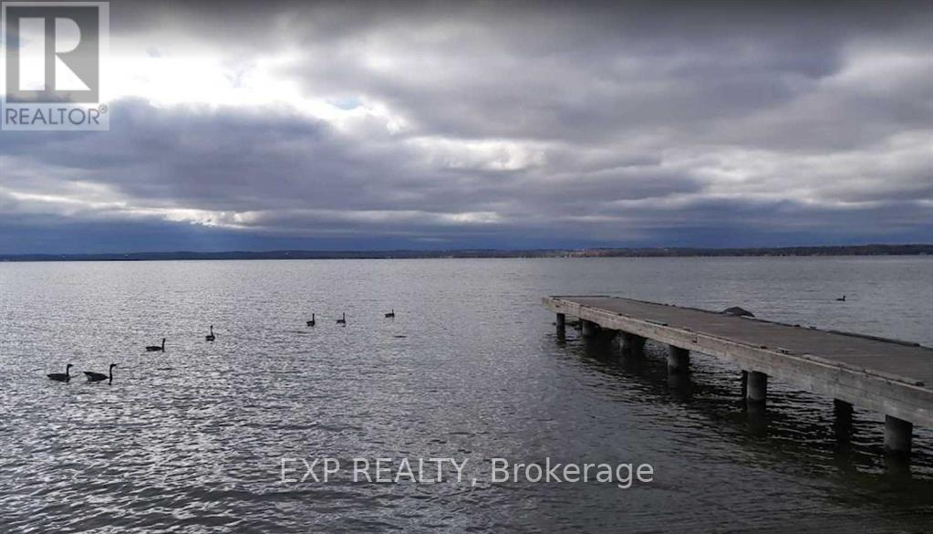 51 Lake Drive, Georgina, Ontario  L4P 1A5 - Photo 11 - N12976034