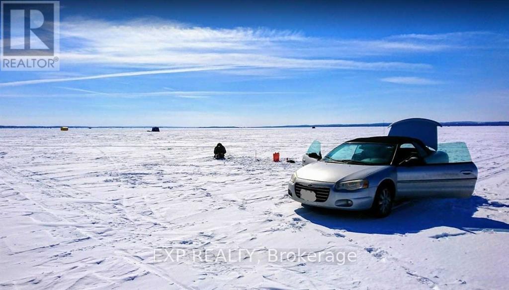 51 Lake Drive, Georgina, Ontario  L4P 1A5 - Photo 8 - N12976034