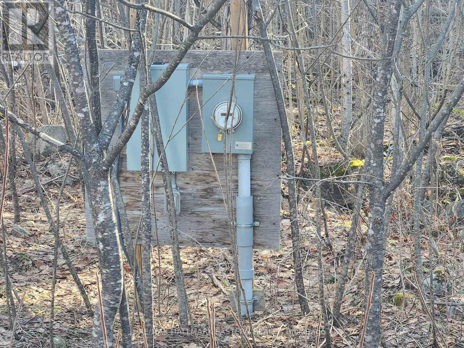 3037 Finley Road, Selwyn, Ontario K0L 2H0 - Photo 5 - X12972392