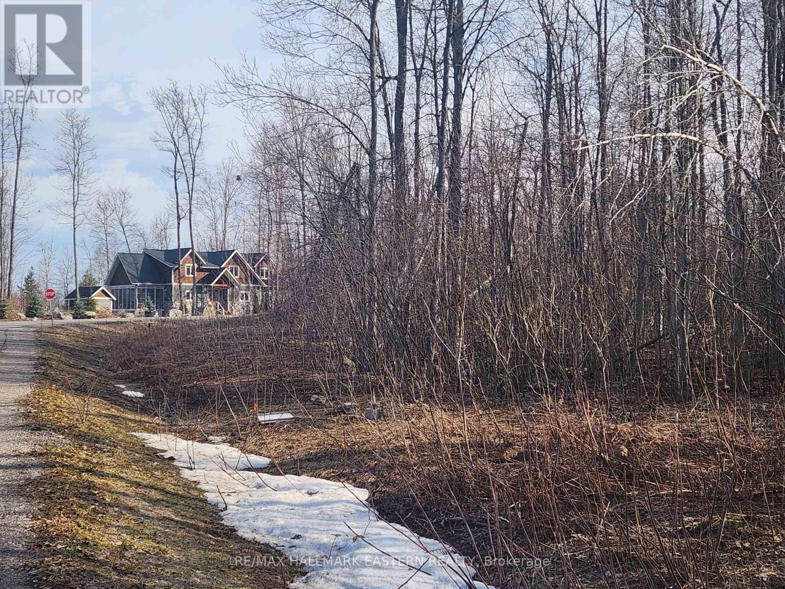 3037 Finley Road, Selwyn, Ontario K0L 2H0 - Photo 6 - X12972392