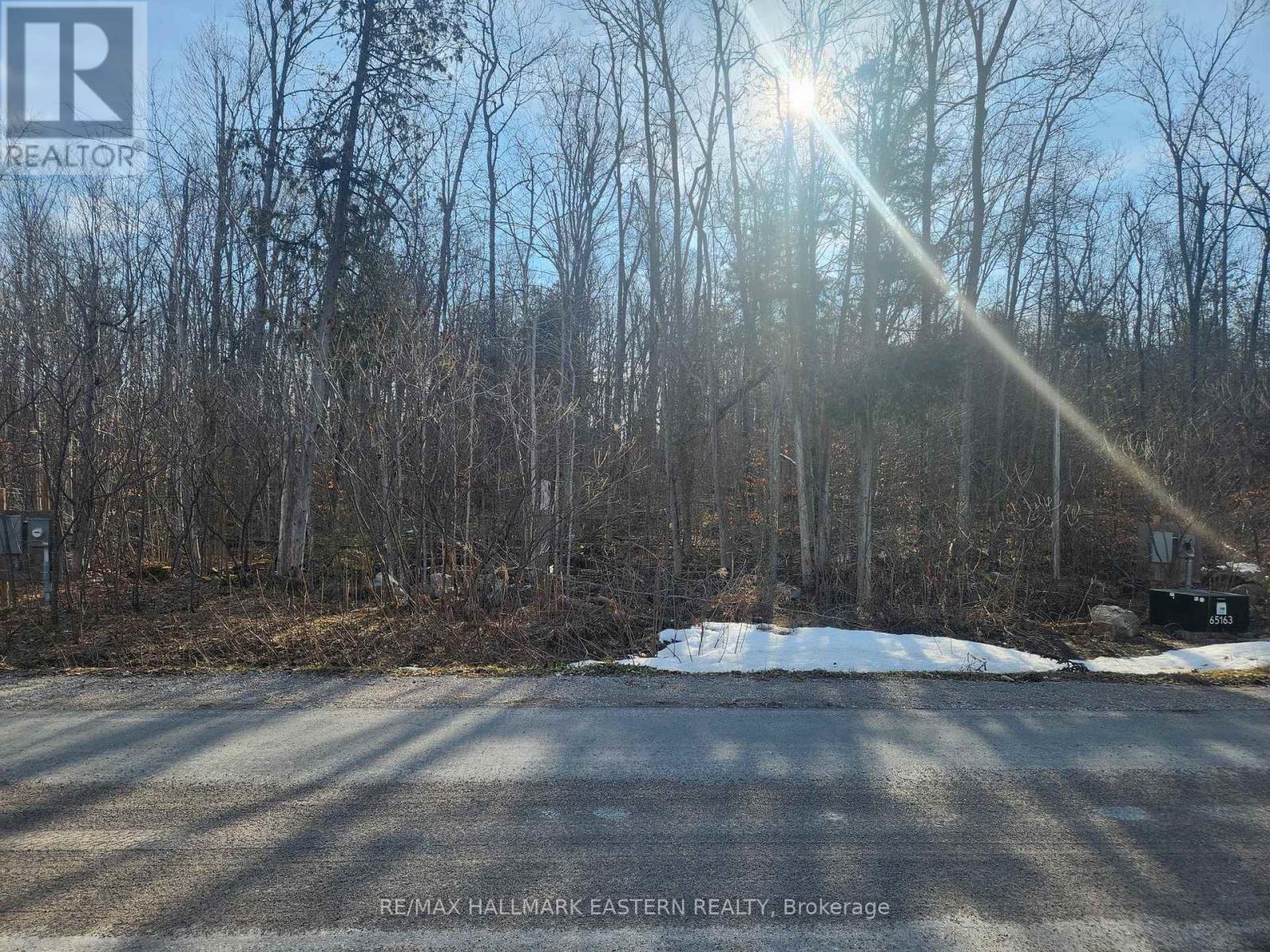 3037 Finley Road, Selwyn, Ontario K0L 2H0 - Photo 4 - X12972392