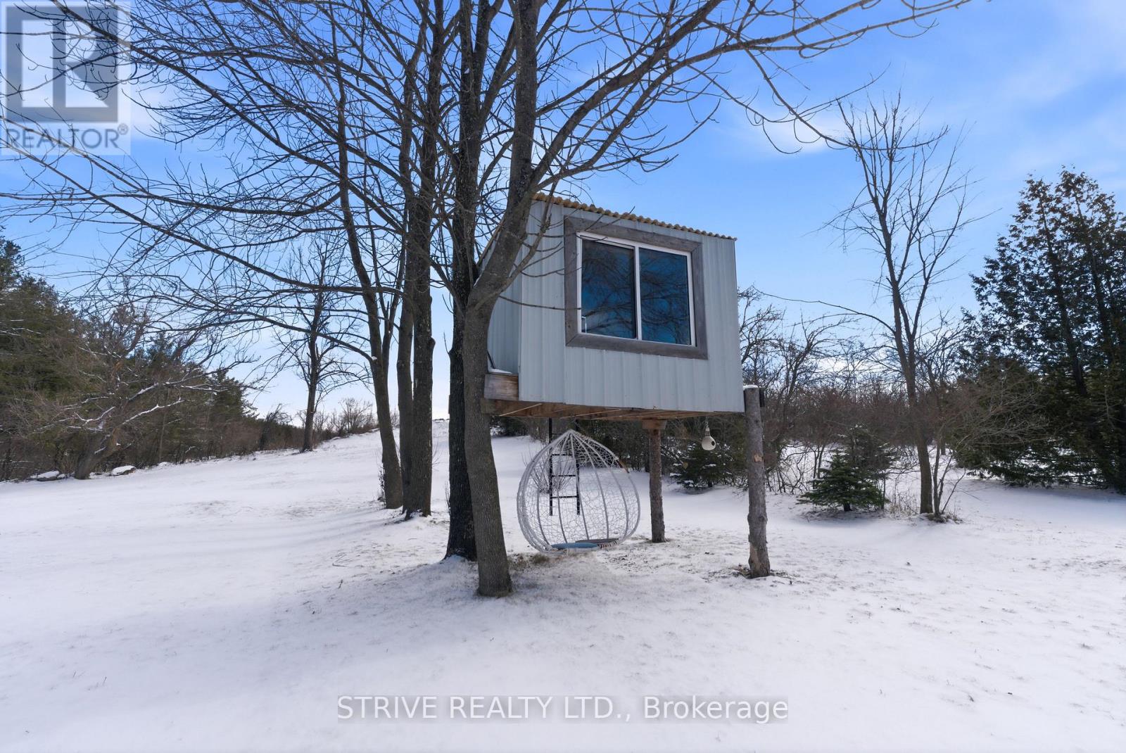 386 Mount Nebo Road, Kawartha Lakes, Ontario  K0L 2W0 - Photo 40 - X12976340