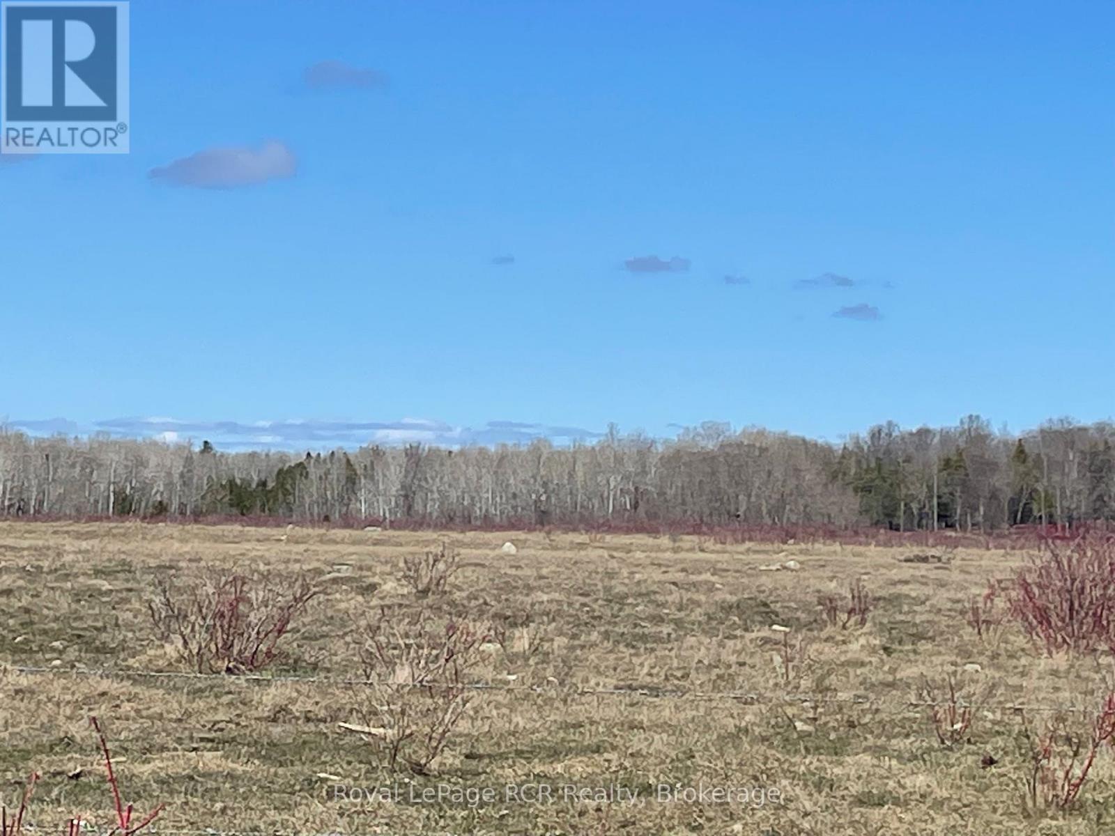 250 Scotch Line Road, Assiginack, Ontario P0P 1W0 - Photo 4 - X12976382