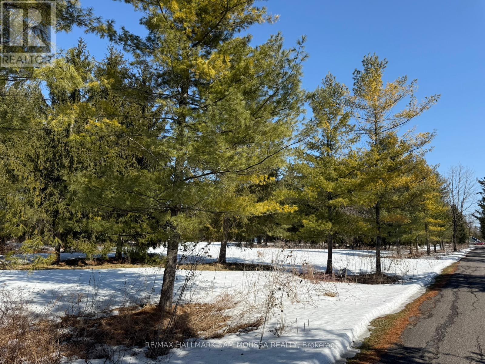 970 Cameron Street, Ottawa, Ontario  K4C 1C6 - Photo 3 - X12976526