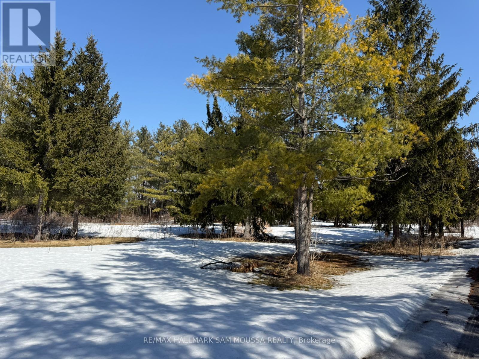 970 Cameron Street, Ottawa, Ontario  K4C 1C6 - Photo 6 - X12976526