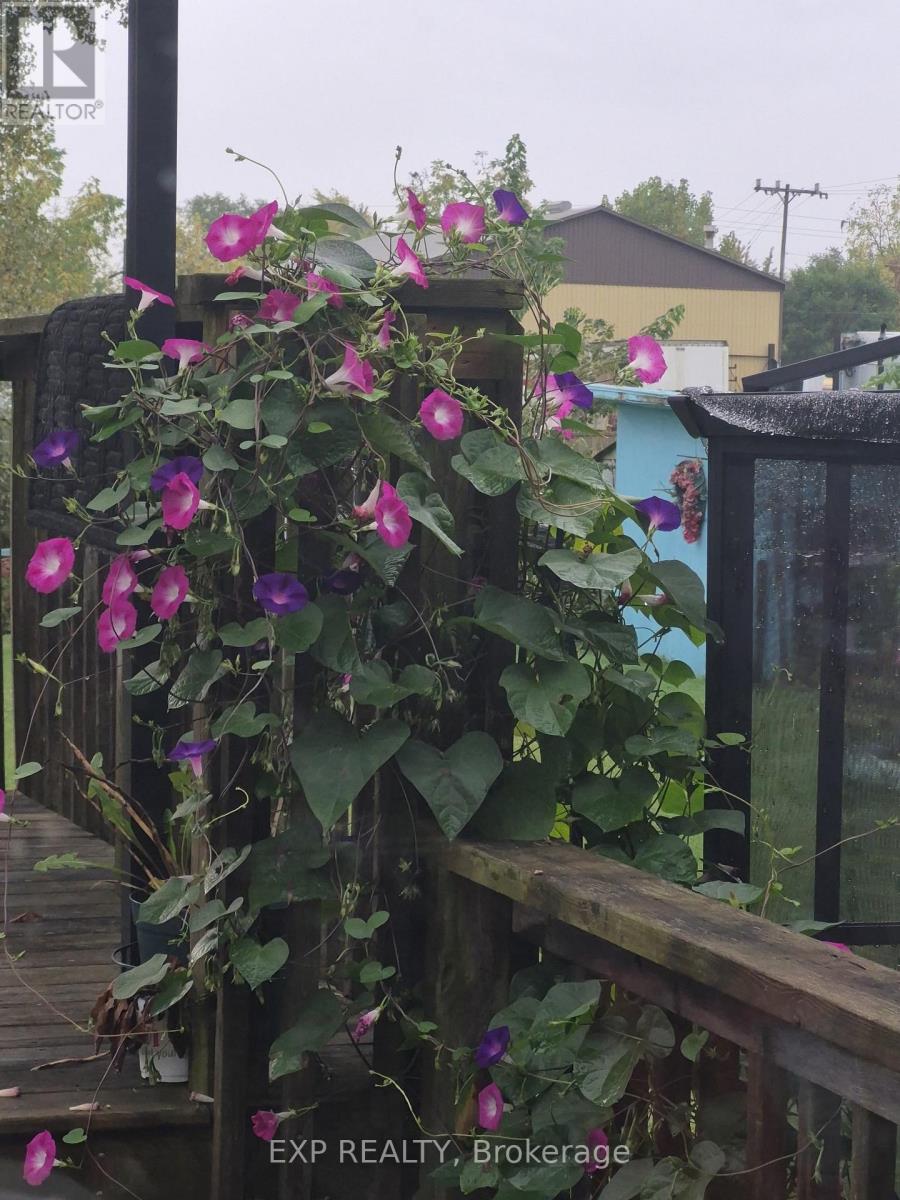 203 Mckellar Street, Southwest Middlesex, Ontario  N0L 1M0 - Photo 25 - X12975450