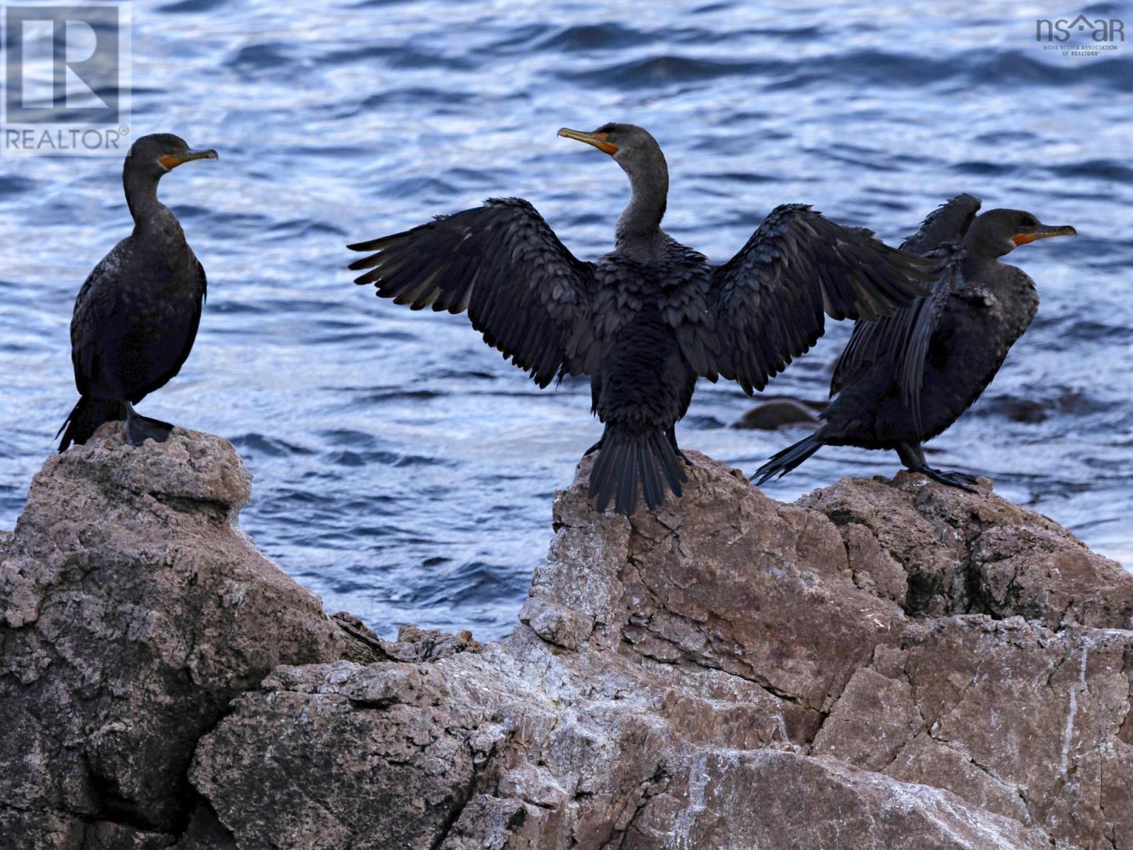 Unit 304 38693 Cabot Trail, Ingonish, Nova Scotia  B0K 1K0 - Photo 21 - 202605312