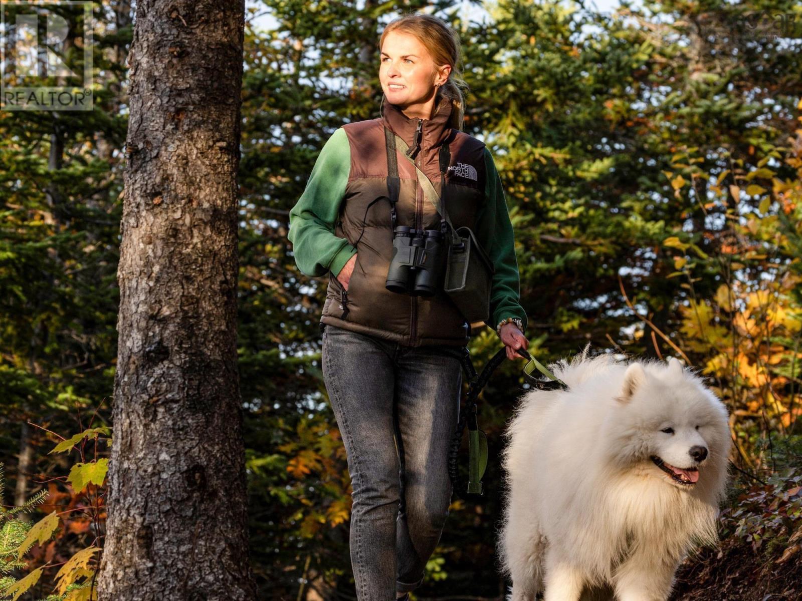 Unit 205 38693 Cabot Trail, Ingonish, Nova Scotia  B0K 1K0 - Photo 23 - 202605579