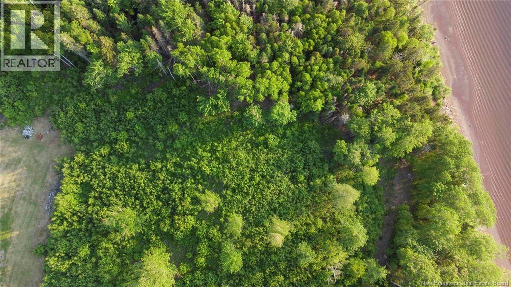 Lot Abbey's Lane, Sainte-Marie-De-Kent, New Brunswick  E4S 2J7 - Photo 10 - NB136760