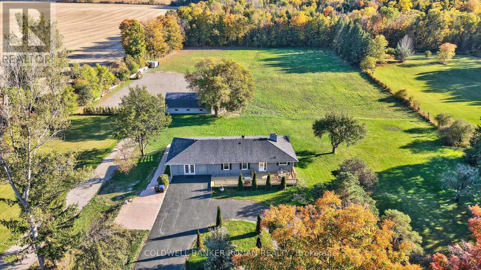 5697 2nd Line, New Tecumseth, Ontario  L0G 1T0 - Photo 48 - N12976162