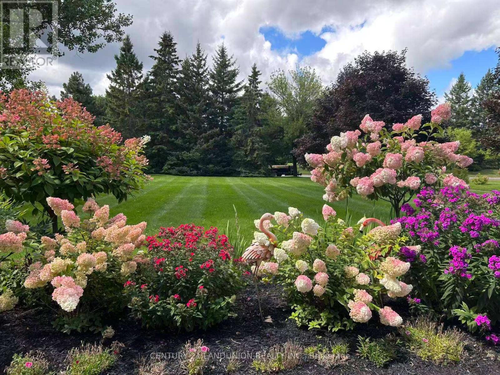 5 Dafoe Court, Aurora, Ontario  L4G 7C8 - Photo 3 - N12976402