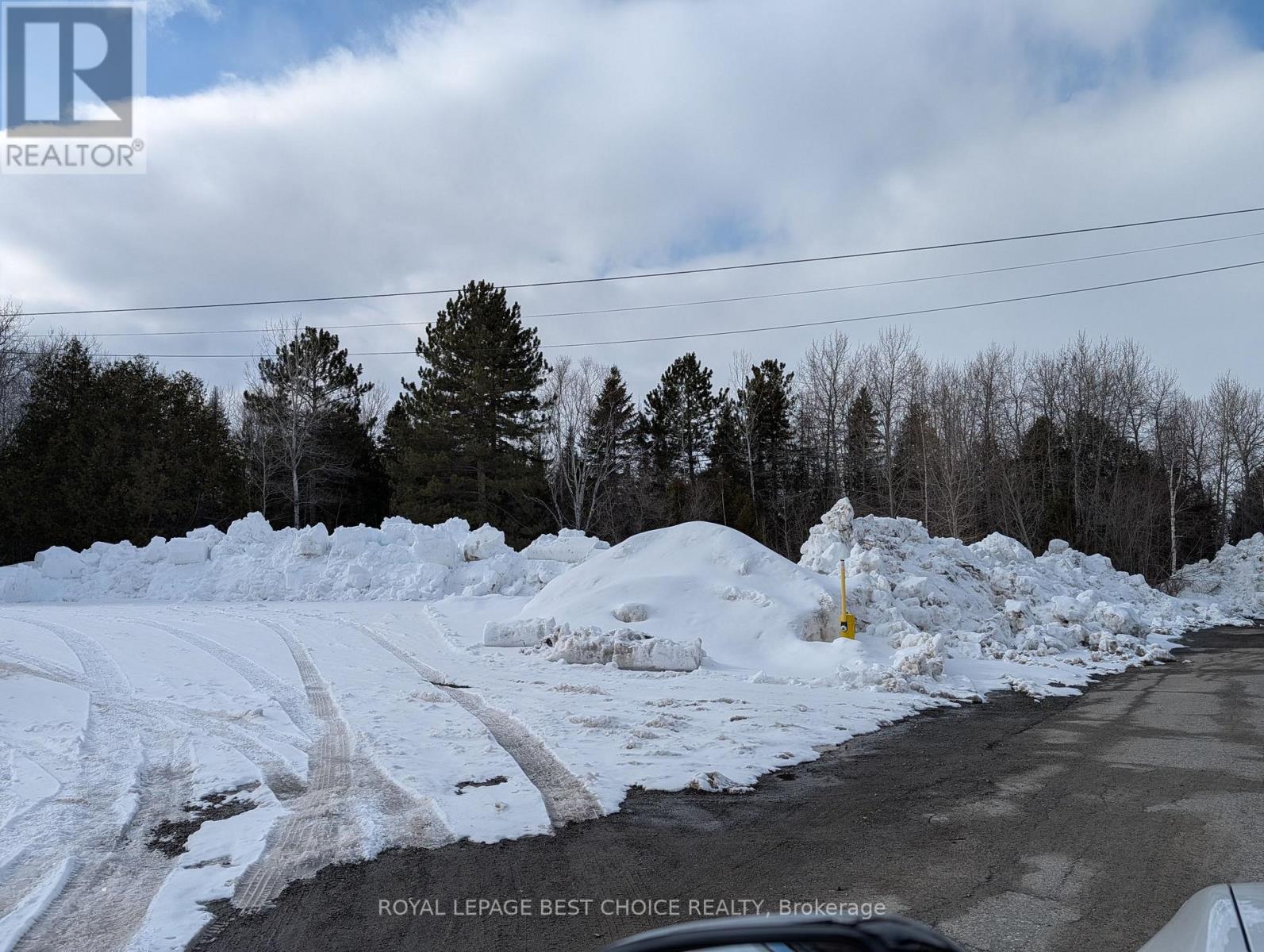 32 Pyrite Street N, Cobalt, Ontario  P0J 1C0 - Photo 1 - T12976628