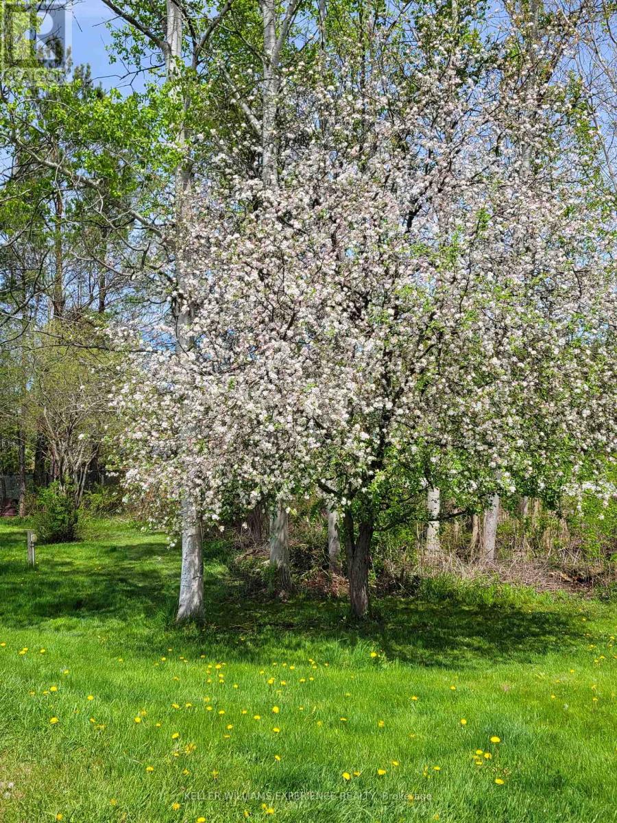 5318 Conc 3 Sunnidale Road, Clearview (New Lowell), Ontario  L0M 1N0 - Photo 43 - S12960416