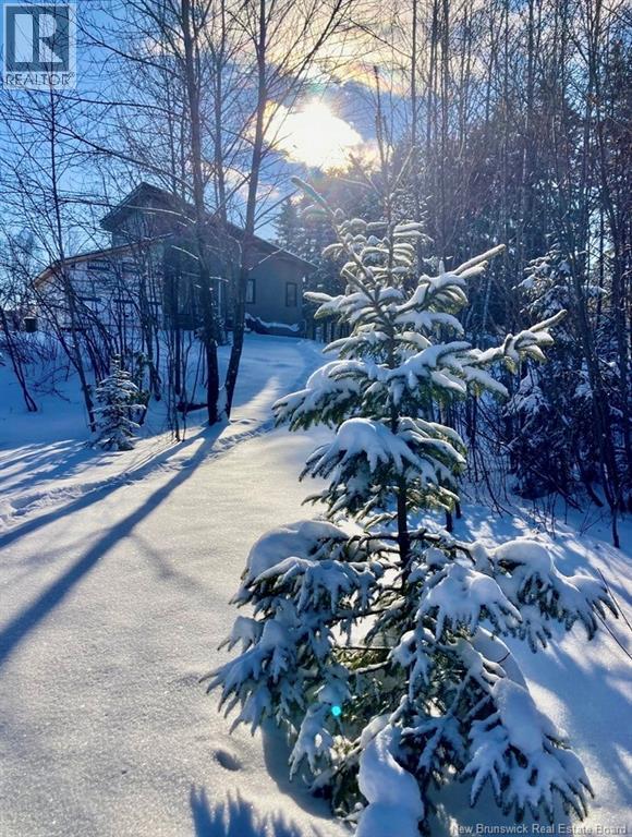 100 Rivière À La Truite Road, Saint-Jacques, New Brunswick  E7B 1Y7 - Photo 17 - NB136135