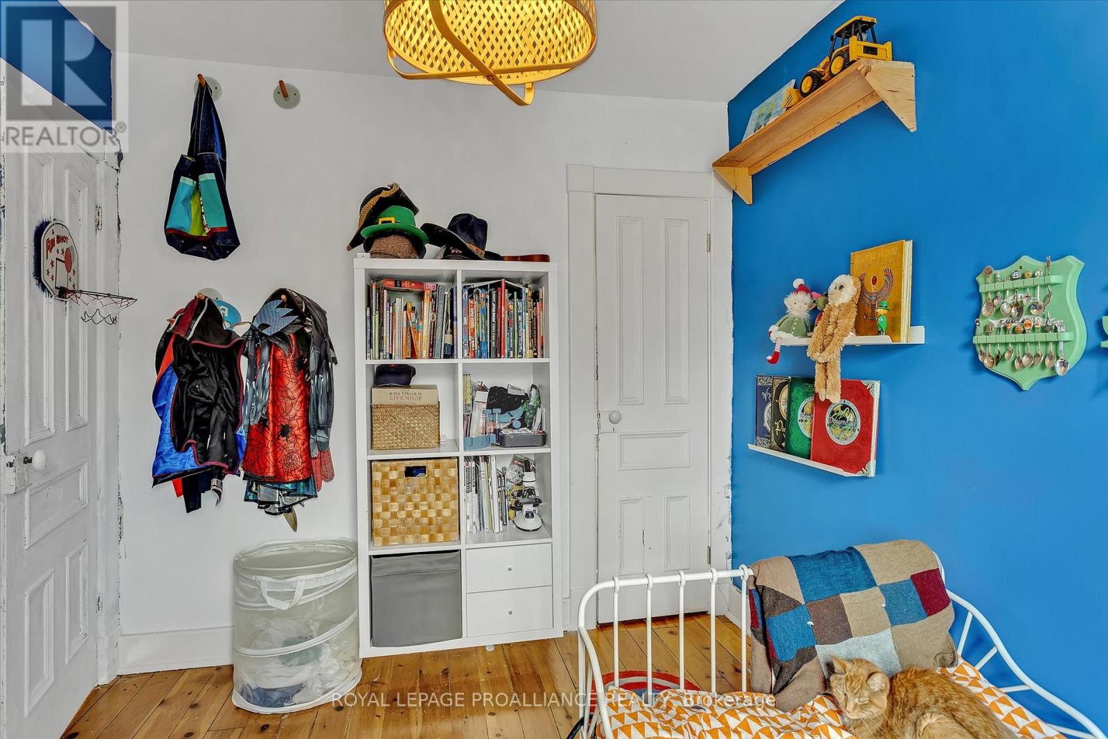 590 Murray Street, Peterborough, Ontario  K9H 2V1 - Photo 24 - X12845928