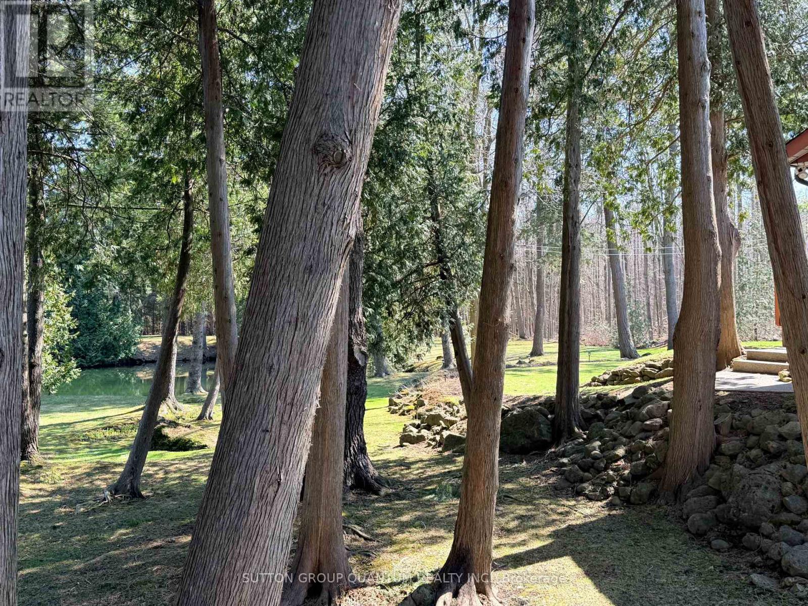 506 11th Concession Road E, Hamilton, Ontario  L8B 1J1 - Photo 41 - X12915282