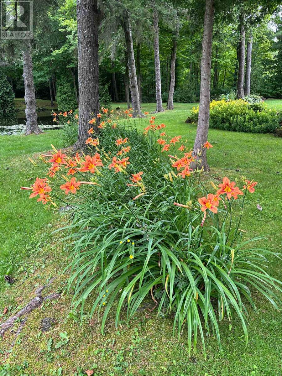 506 11th Concession Road E, Hamilton, Ontario  L8B 1J1 - Photo 31 - X12915282