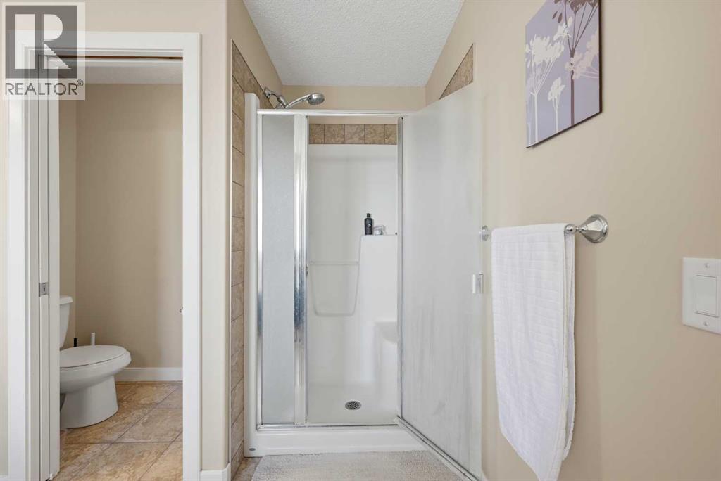 212 Springmere Road, Chestermere, Alberta  T1X 1R3 - Photo 28 - A2291582