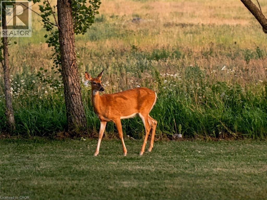 2330 Centre Street, Pelham, Ontario  L0S 1M0 - Photo 50 - 40817967