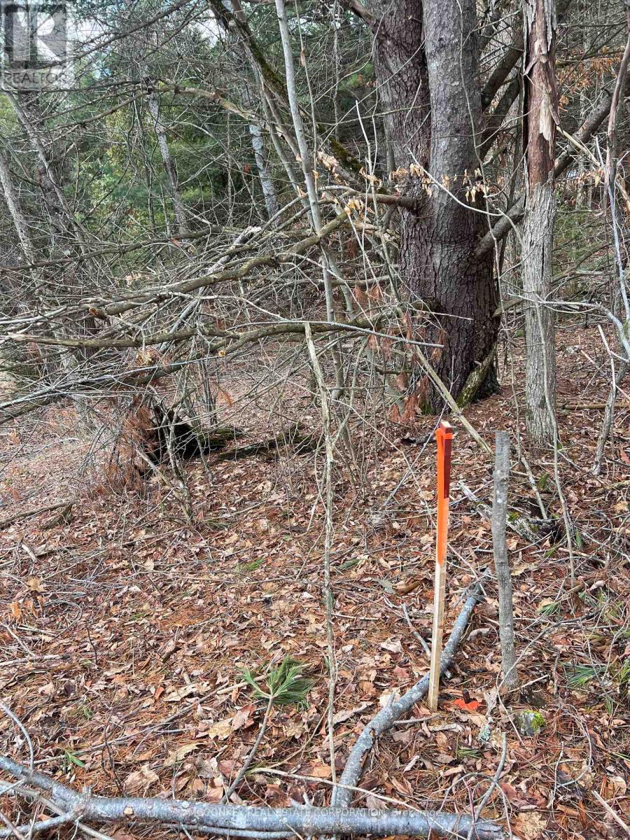 00 Centre Dummer Road, Douro-Dummer, Ontario K0L 2H0 - Photo 10 - X12976854