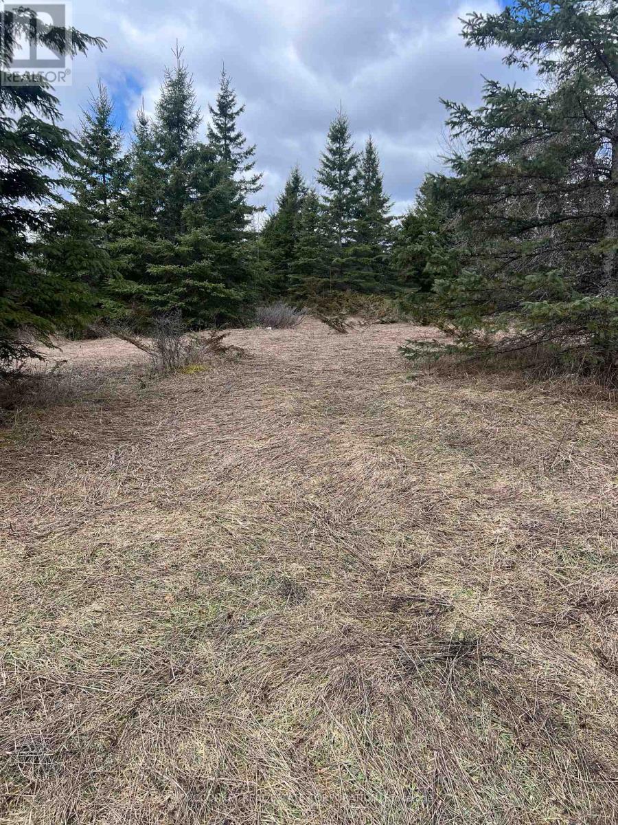 00 Centre Dummer Road, Douro-Dummer, Ontario K0L 2H0 - Photo 11 - X12976854