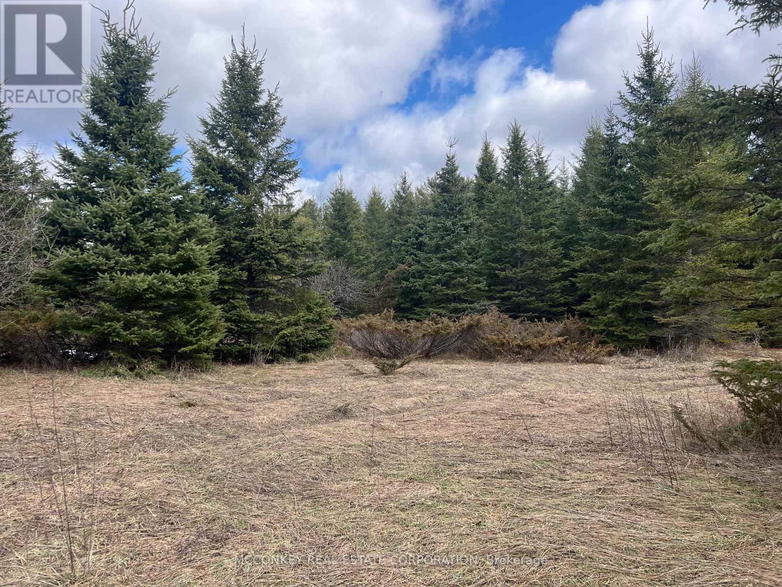 00 Centre Dummer Road, Douro-Dummer, Ontario K0L 2H0 - Photo 12 - X12976854