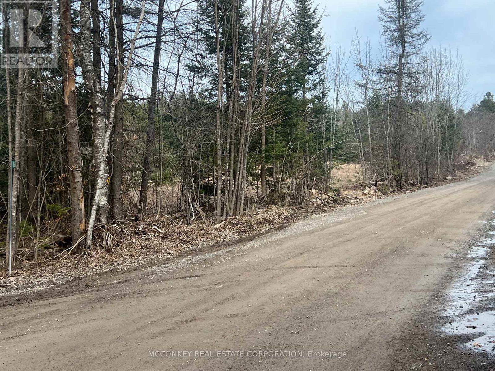 00 Centre Dummer Road, Douro-Dummer, Ontario K0L 2H0 - Photo 5 - X12976854