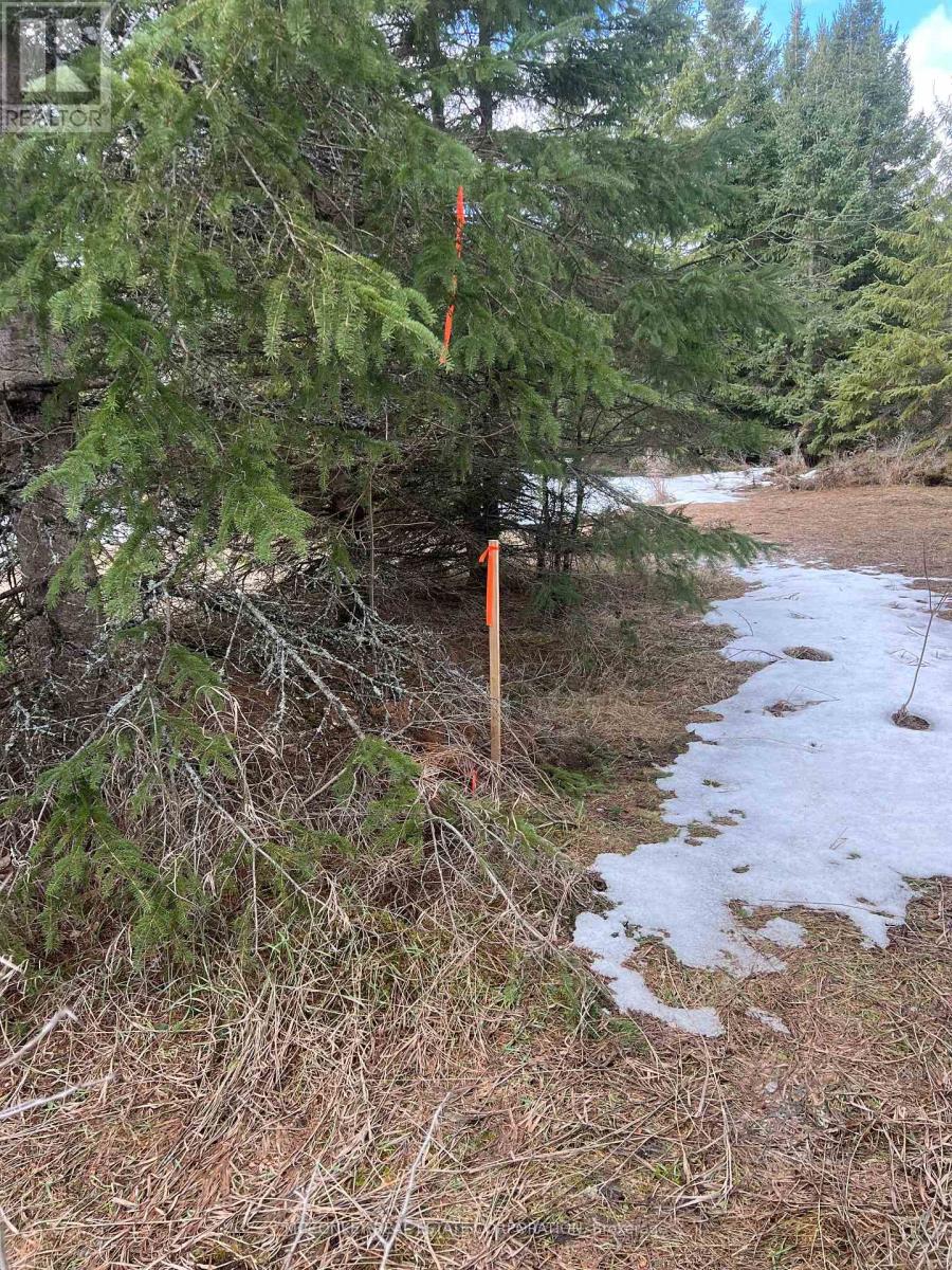 00 Centre Dummer Road, Douro-Dummer, Ontario K0L 2H0 - Photo 8 - X12976854