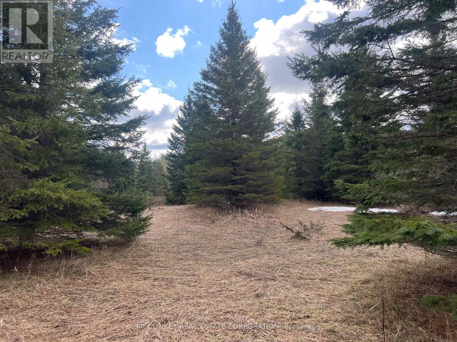 00 Centre Dummer Road, Douro-Dummer, Ontario K0L 2H0 - Photo 9 - X12976854