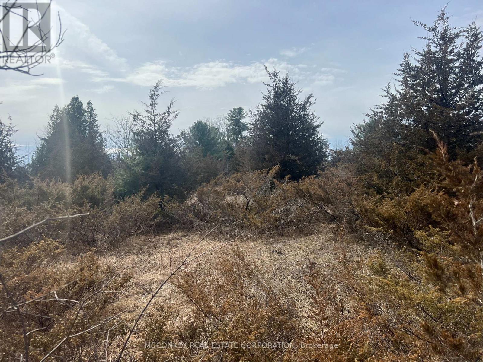 00 N. Dummer 7th Line Road, Douro-Dummer, Ontario K0L 2H0 - Photo 10 - X12976864