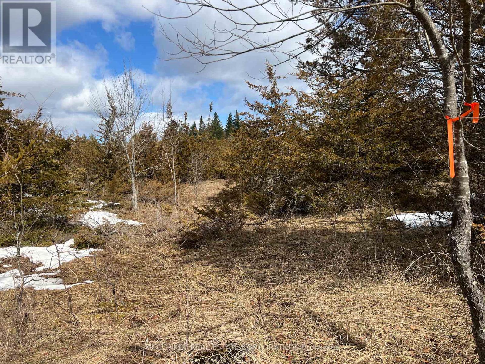 00 N. Dummer 7th Line Road, Douro-Dummer, Ontario K0L 2H0 - Photo 11 - X12976864