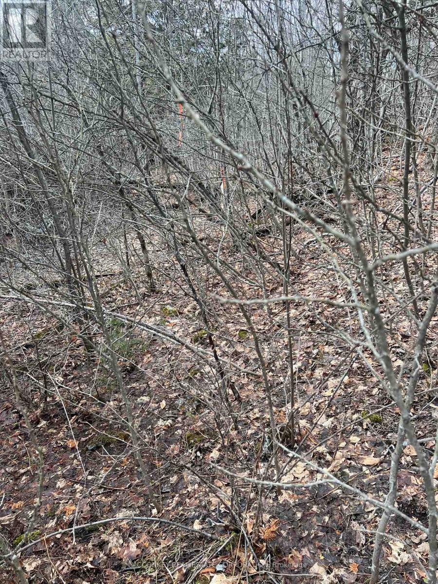 00 N. Dummer 7th Line Road, Douro-Dummer, Ontario K0L 2H0 - Photo 12 - X12976864